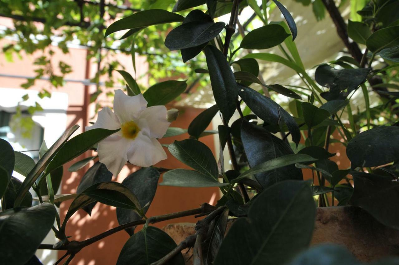 Casa Cifali Taormina Bagian luar foto